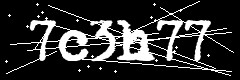 图形验证码